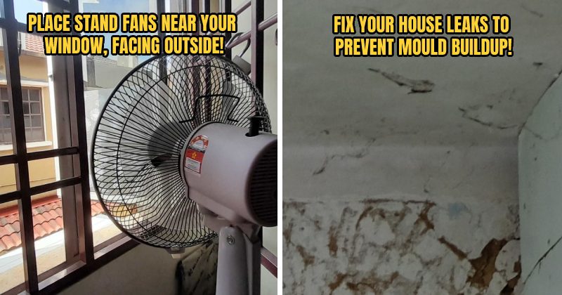 MITSUBISHI FEATURE 4