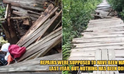 My Post 2022 07 08T115115.039