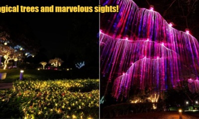 My Post 2022 07 15T110402.129