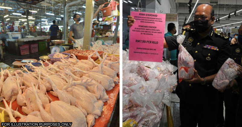 feat image chicken price kpdnhep
