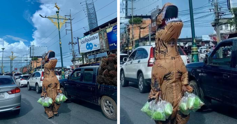 feat image dinosaur vendor thai