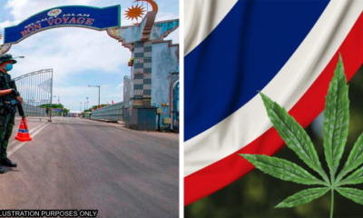 feat image thai cannabis