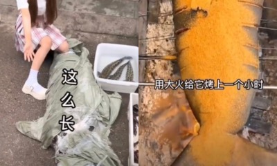 044D5DC1 30DF 43CB A82F 4ED032C88C22