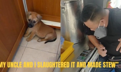 2A7EC4EE ED92 4882 9976 E4FA3F177AA4