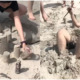 collage sand