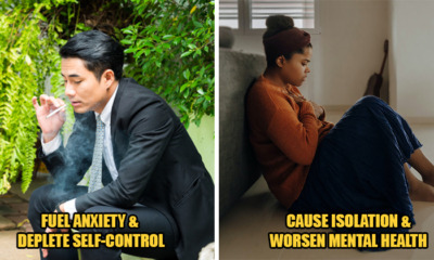 HAA 2 1 Feat Image 4 1