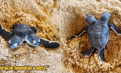 My Post 1 2022 09 02T113622.938