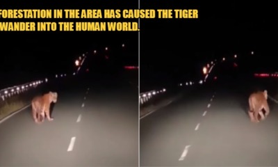 My Post 1 2022 09 07T170051.512