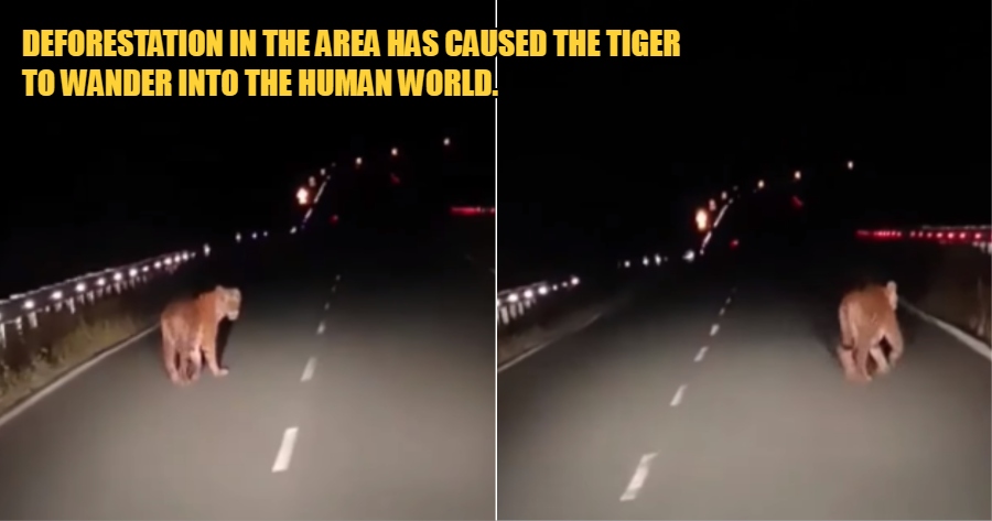 My Post 1 2022 09 07T170051.512