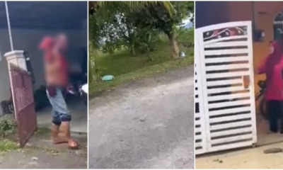 neighbours quarrel over grass