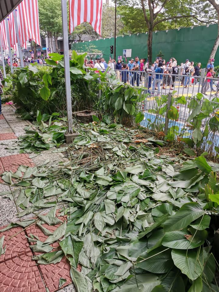 Plants 1