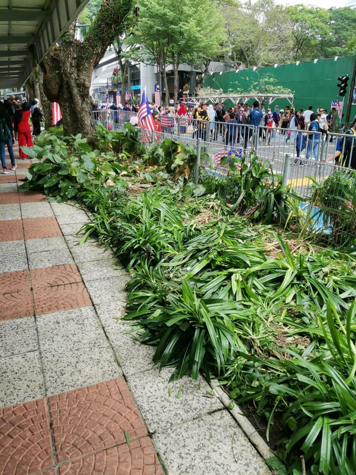 Plants 2