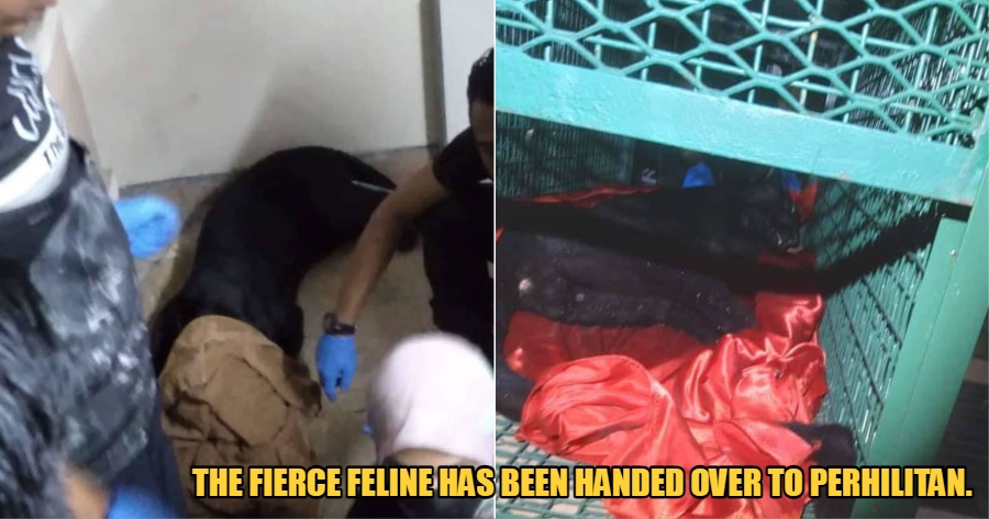 My Post 1 2022 10 03T132823.120