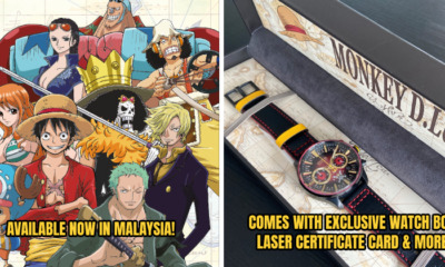 SolvilOnePiece Header 9