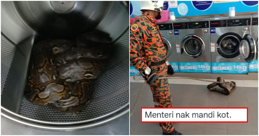 Collage Python 1