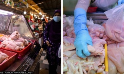 feat image chicken sg msia