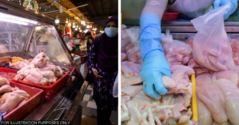 feat image chicken sg msia