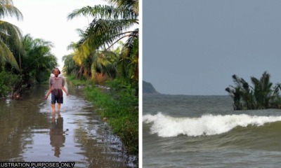 feat image high tide msia