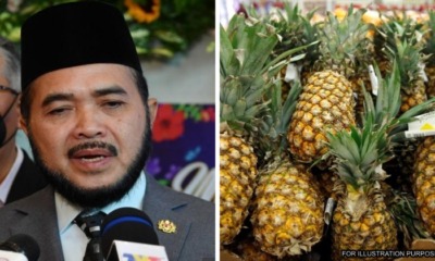 feat image pineapple farming b40