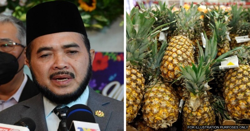 feat image pineapple farming b40