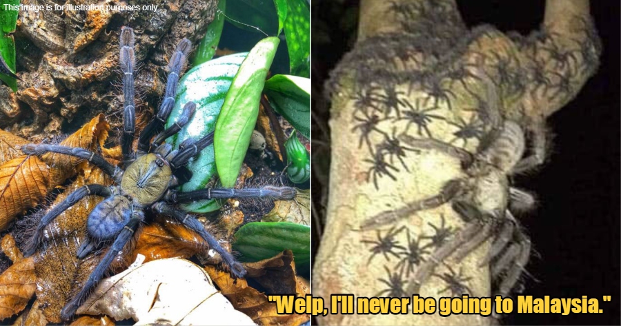 My Post 1 2022 11 14T142732.551