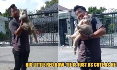 My Post 1 2022 11 23T172001.935