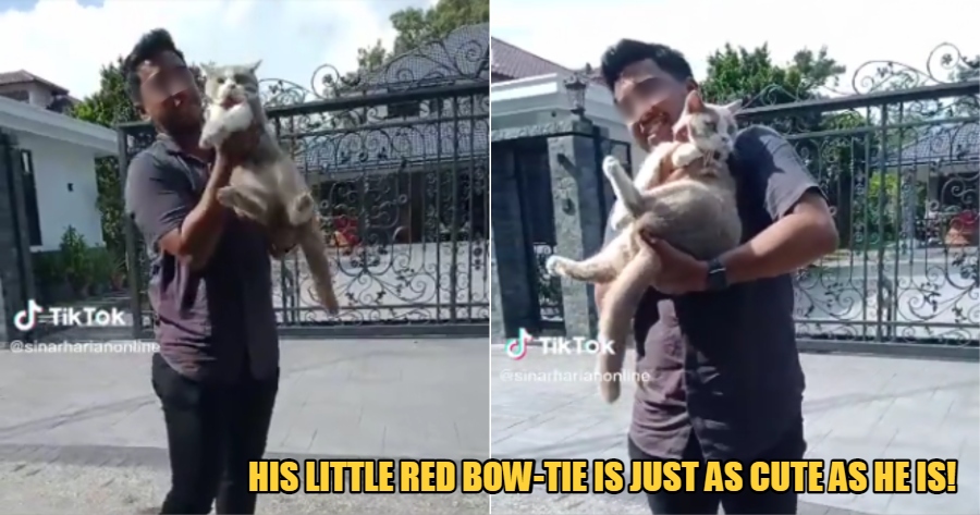 My Post 1 2022 11 23T172001.935