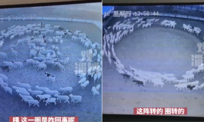 My Post 1 2022 11 25T154626.075