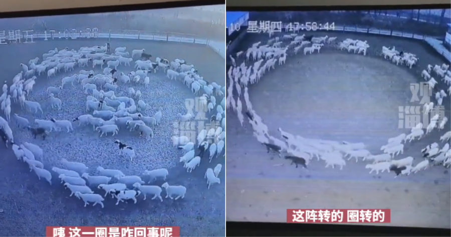 My Post 1 2022 11 25T154626.075