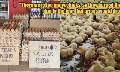 My Post 1 2022 11 29T174443.636