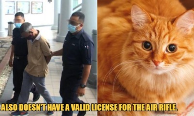 My Post 1 2022 11 30T173444.698