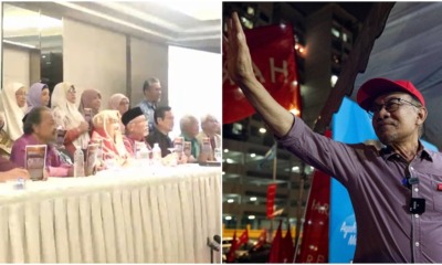 professors support anwar