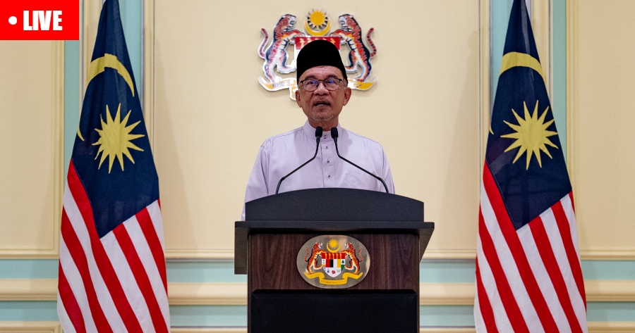 My Post 1 2022 12 02T165427.008