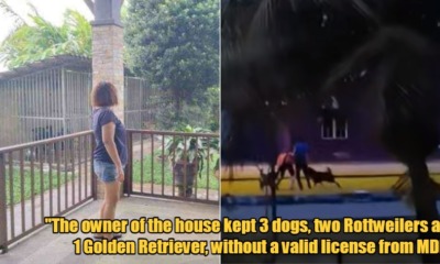 My Post 1 2022 12 05T102943.566