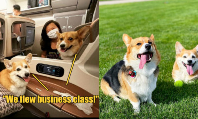 mindy and peanut second ft