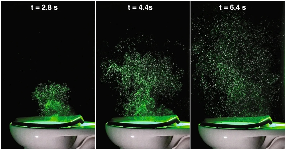 toilet flush study