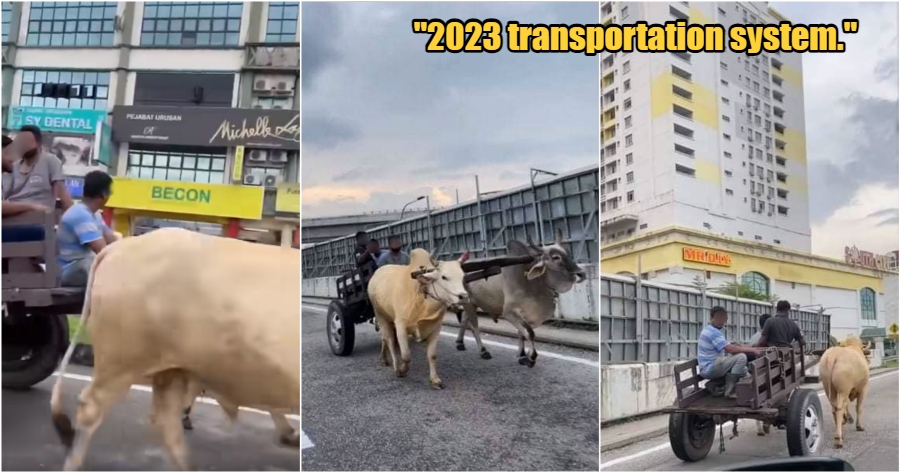 My Post 1 2023 01 05T183731.301