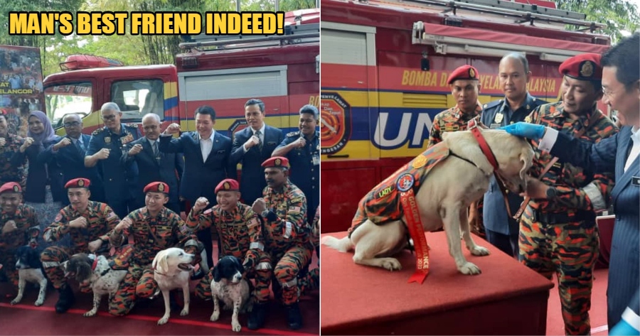 My Post 1 2023 01 09T163442.454