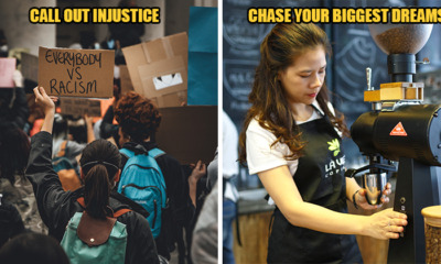 Tiger Feat Image 2 1