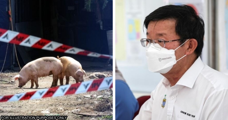 feat image asf penang outbreak