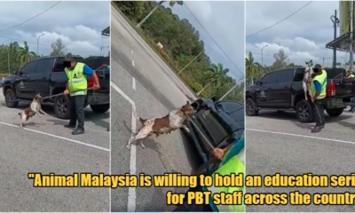 My Post 1 2023 02 20T121223.650