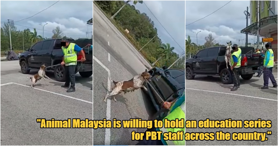 My Post 1 2023 02 20T121223.650