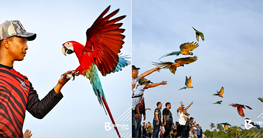 My Post 1 2023 02 28T120509.100