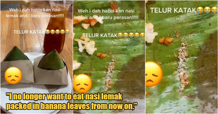 My Post 1 2023 02 28T180642.660