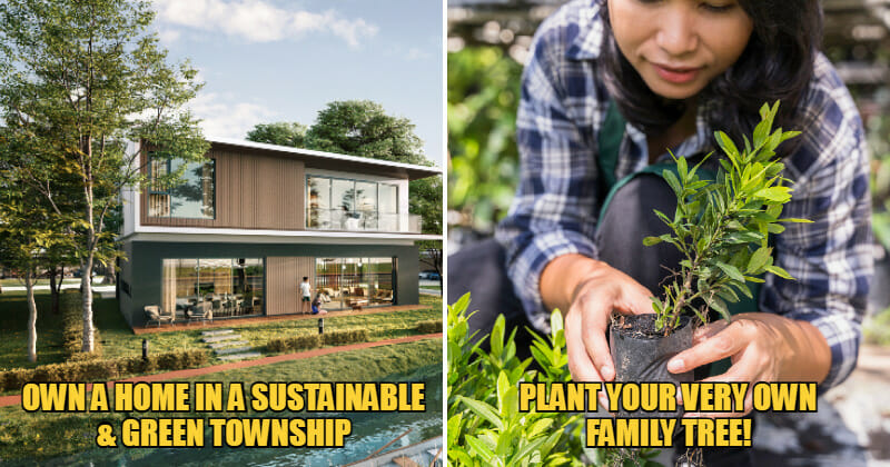 WOB Gamuda Hop feat 1 1