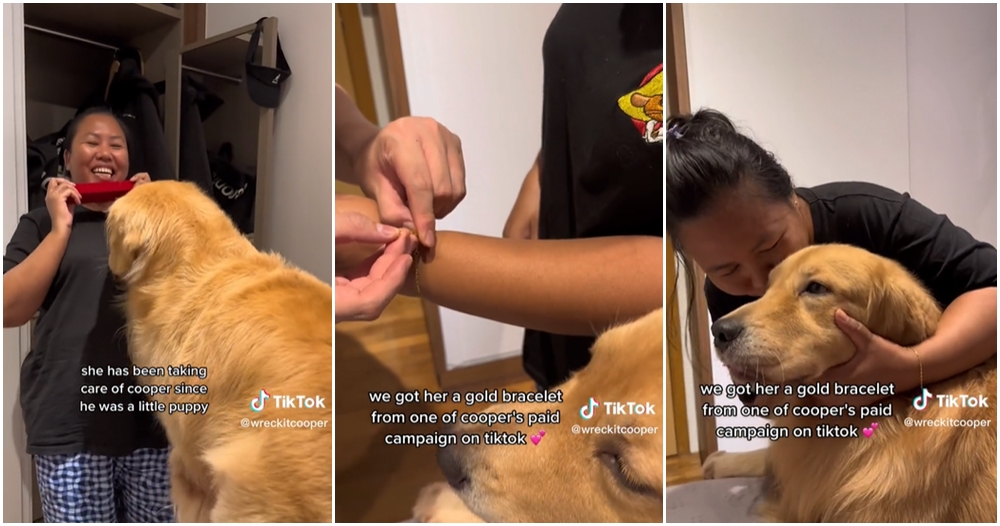 golden retriever helper gold bracelet