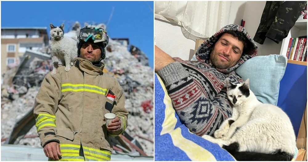 turkish firefighter cat rescue
