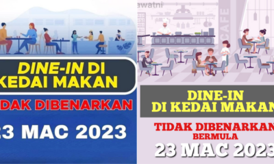 My Post 1 2023 03 01T103808.591