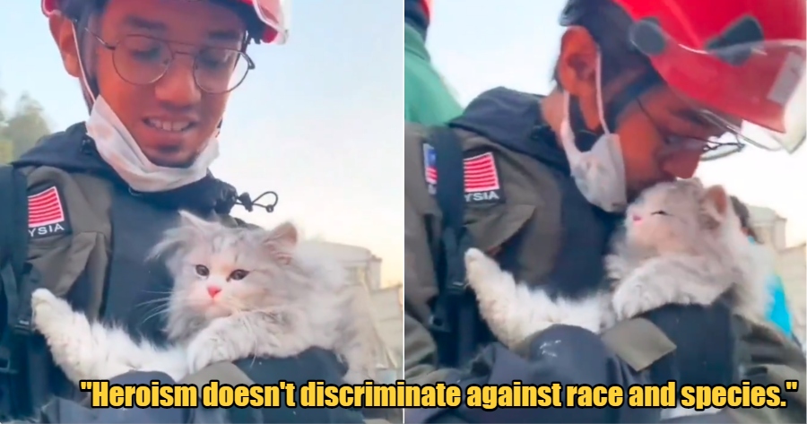 My Post 1 2023 03 09T161805.941