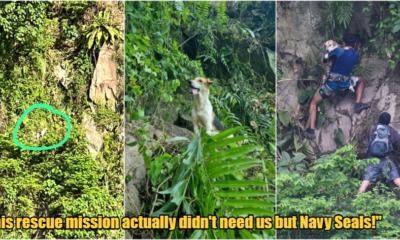 My Post 1 2023 03 20T111001.832